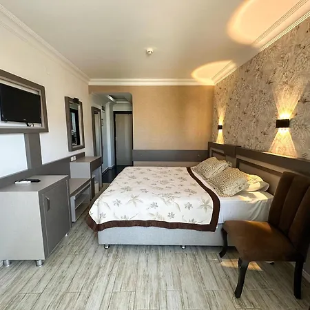 酒店 蒙特卡洛酒店 阿拉尼亚